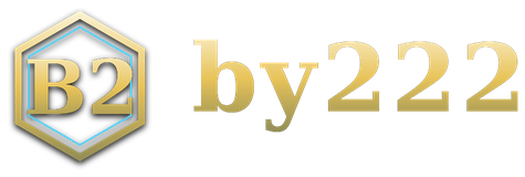 by222 logo